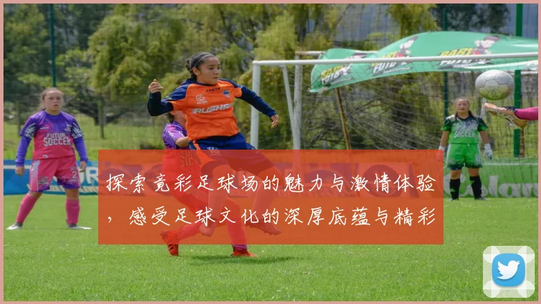 探索竟彩足球场的魅力与激情体验，感受足球文化的深厚底蕴与精彩瞬间