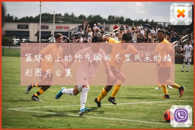 篮球场上的帅气瞬间尽显风采的精彩图片合集