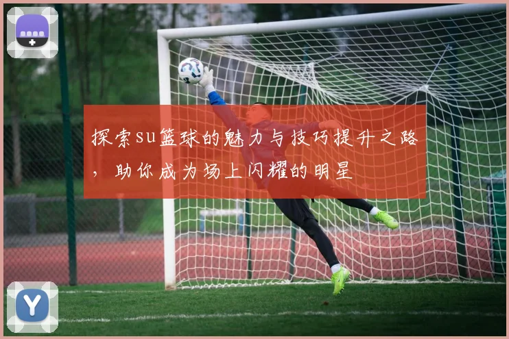探索su篮球的魅力与技巧提升之路，助你成为场上闪耀的明星