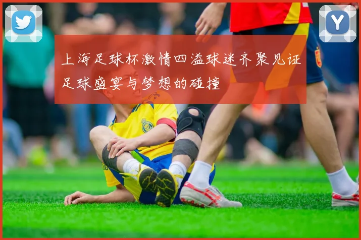 上海足球杯激情四溢球迷齐聚见证足球盛宴与梦想的碰撞