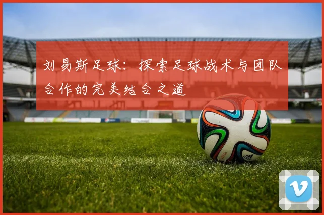 刘易斯足球：探索足球战术与团队合作的完美结合之道